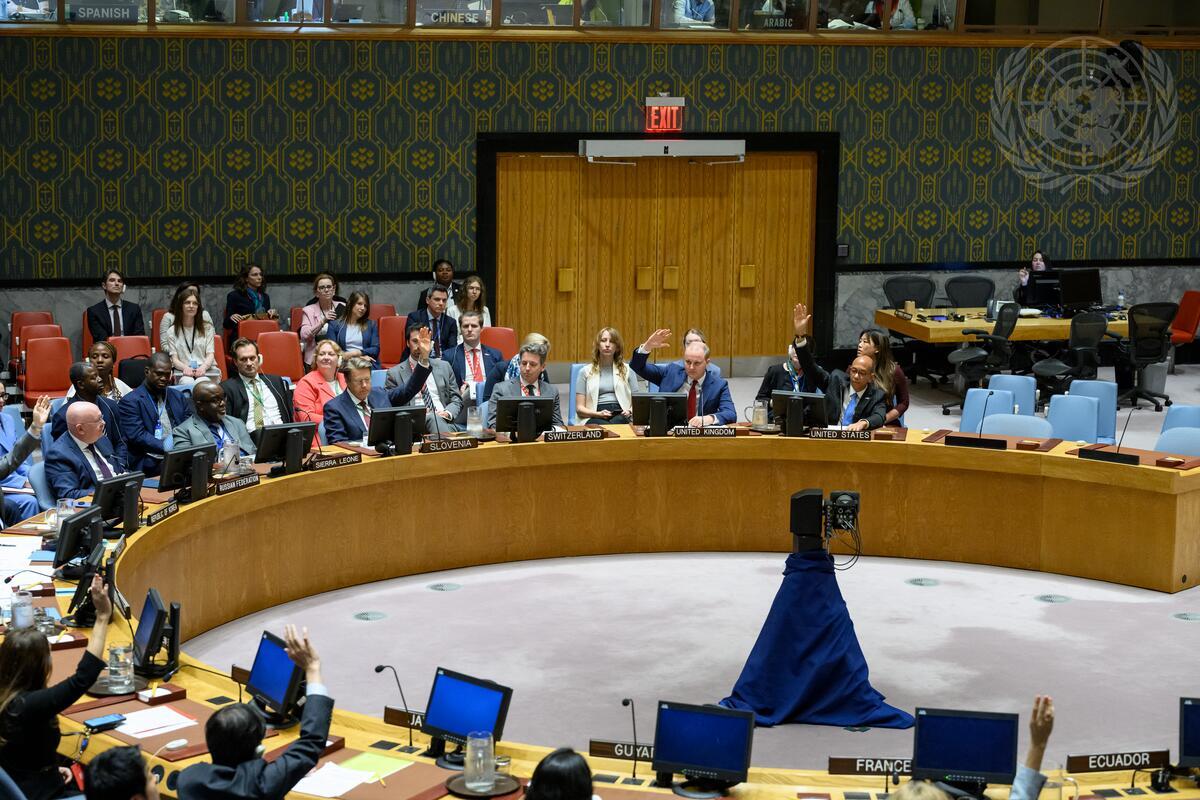 The seven votes against a a draft Security Council resolution on non-proliferation and outer space introduced by the Russian Federation, 20 May (Loey Felipe/UN Photo)