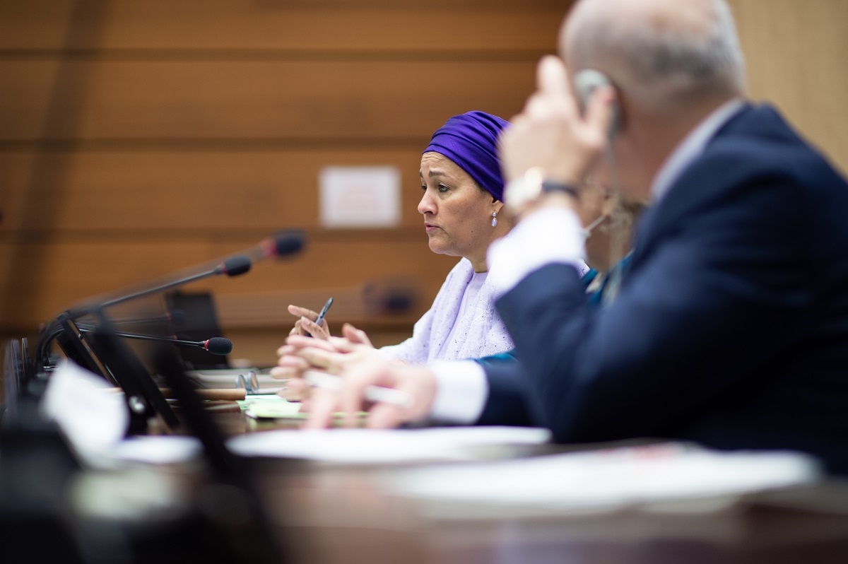 Amina Mohammed