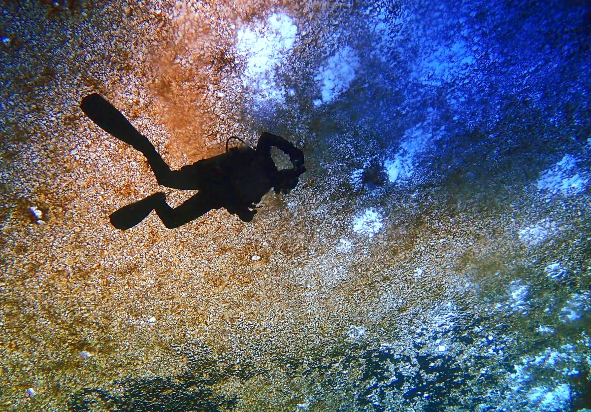 A researcher diving under diatom-coated sea ice in the Ross Sea (Aaron Toh/courtesy of Amy Osborne PolarTREC 2019/ courtesy of ARCUS)