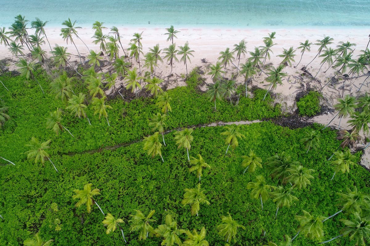 Climate change threatens traditional knowledge systems, cultural heritage and access to ancestral land and resources, with Pacific examples including the eroding coastal graveyards in Tuvalu (TCAP/UNDP/Flickr)