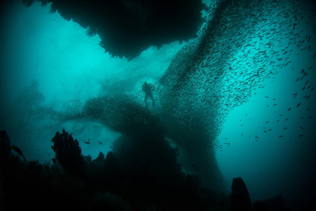 It’s said that humanity knows more about the surface of the Moon than the ocean floor (Alex Rose/Unsplash)