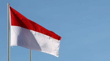 How to make Indonesia’s sovereign wealth fund work