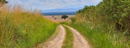 Aid and development links: Labour mobility, the future of NGOs, inequality and more