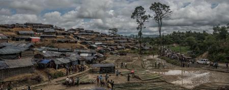 Migration and border policy links: Yemen, life on Manus Island, and more