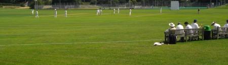 Pacific links: faux pas, cricket bats, more