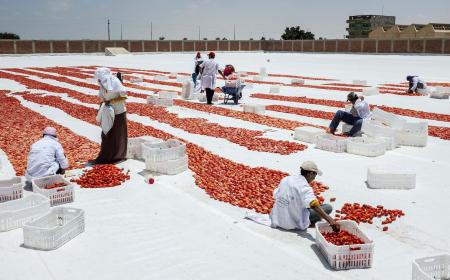 Aid links: development how-to guides, Nobel winners, more