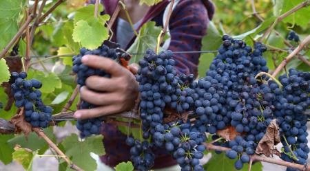 Pacific Links: PNG elections, seasonal worker exploitation, fraud in Fiji and more