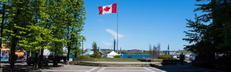 Canada, Australia and the liberal international order in the Trump era