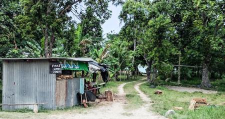 Pacific links: APEC rebuke, raised eyebrows, and more