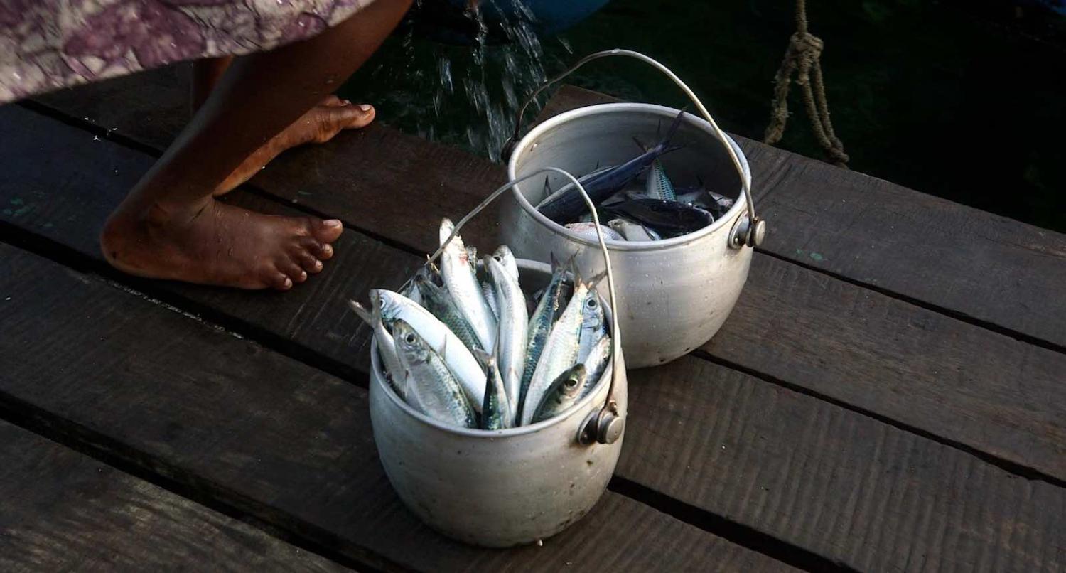 Solomon Islands (Wade Fairley/WorldFish/Flickr)