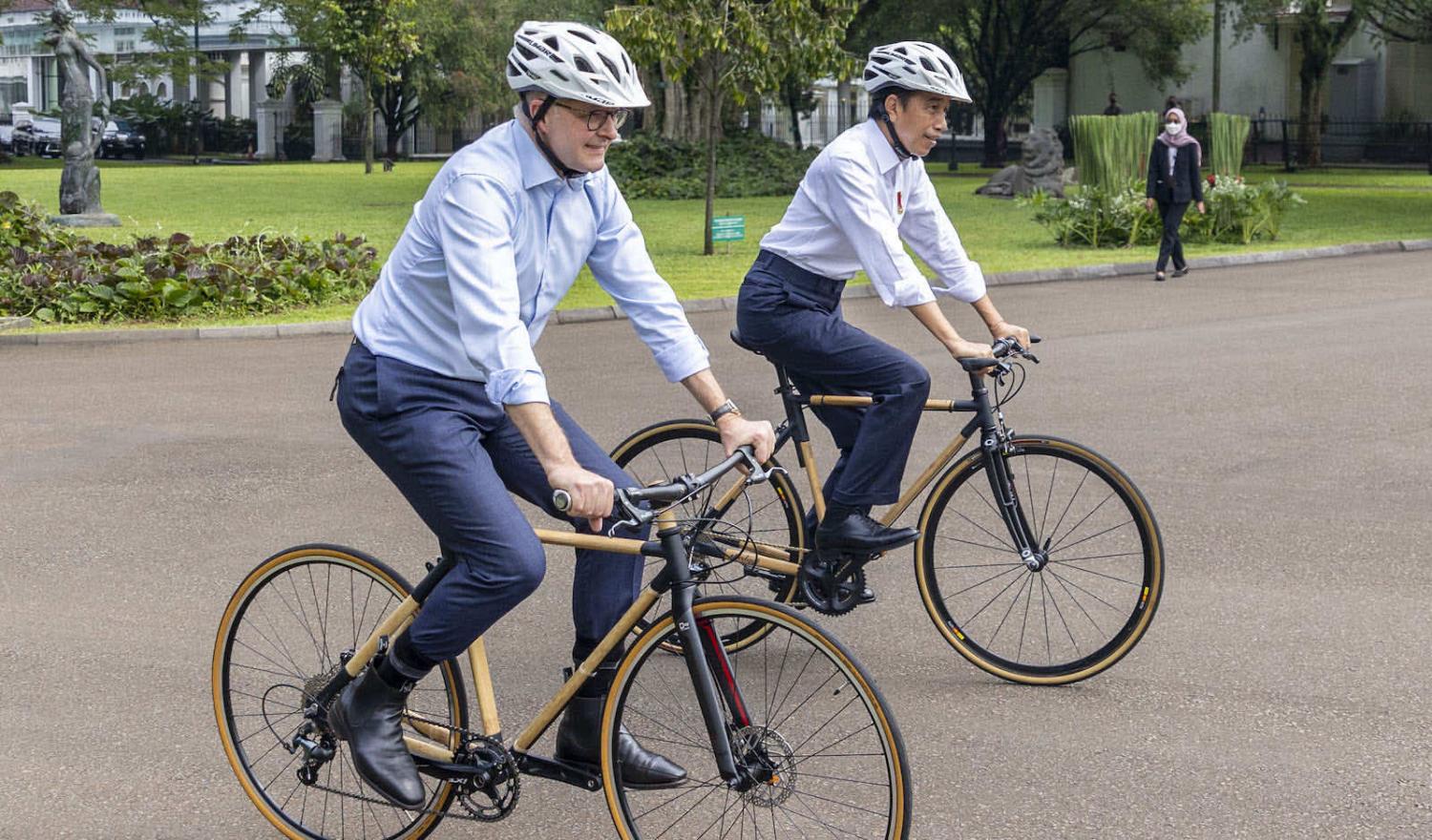 Pushing it: Anthony Albanese used talks with his Indonesian counterpart Joko Widodo to urge more Australian investment in Indonesia (@AlboMP/Twitter)
