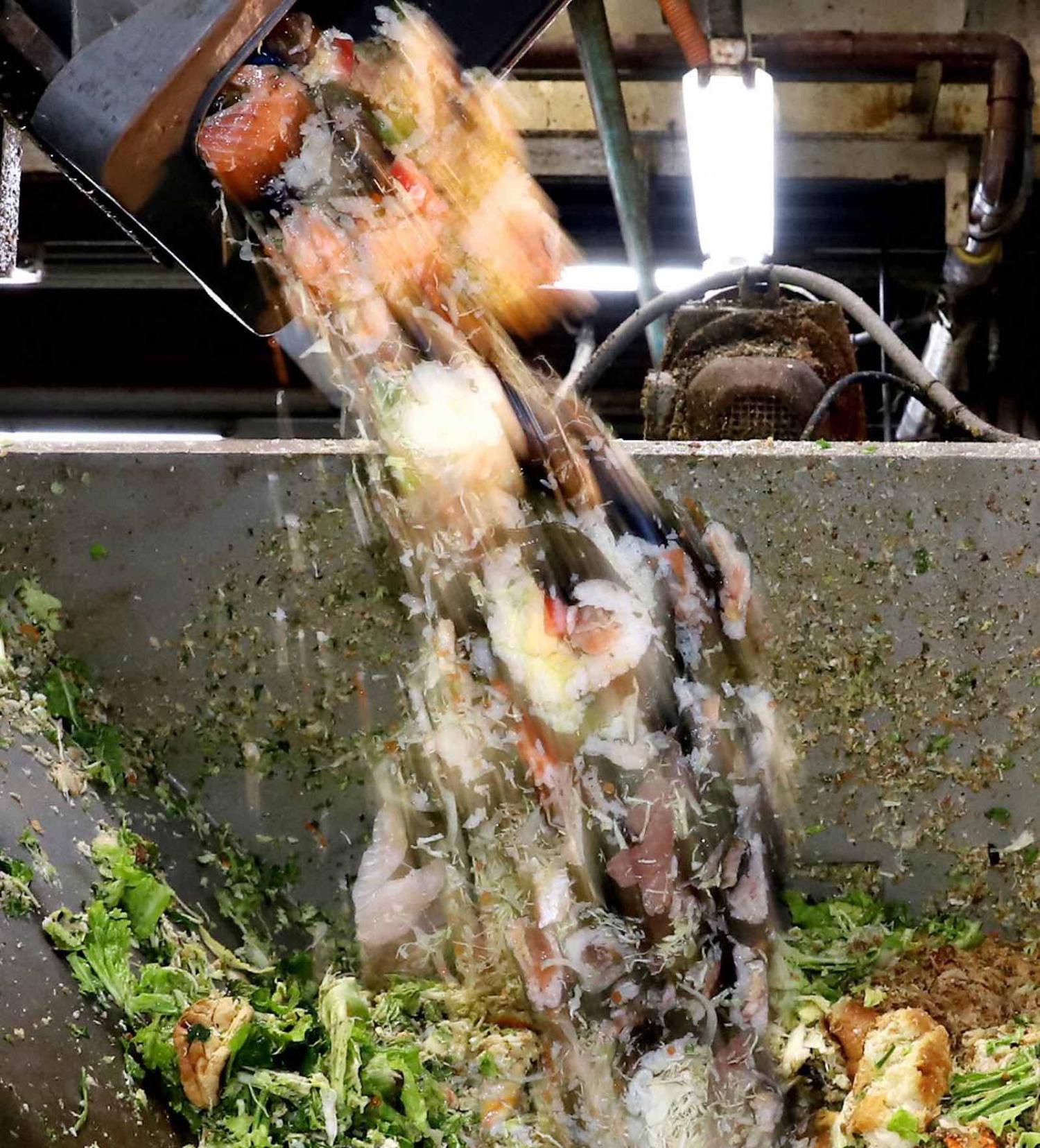 Beyond the environmental cost, disposing of food waste amounts to a massive economic burden on the Japanese public sector (The Asahi Shimbun via Getty Images)