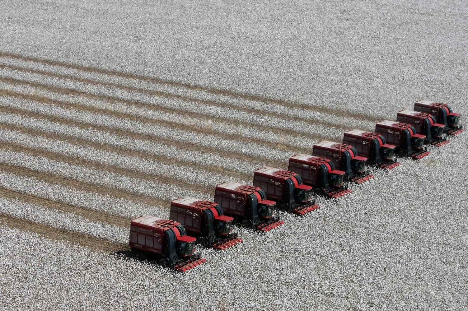 Harvesting cotton in Luis Eduardo Magalhaes, Brazil (Adriano Machado/Bloomberg via Getty Images)