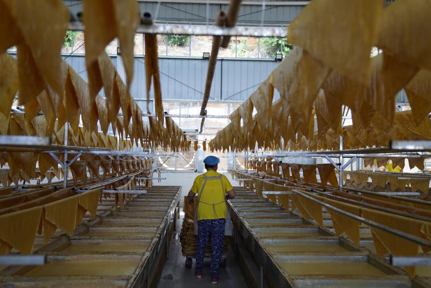 Making bean curd skin, commonly known as tofu skin, at a soybean products manufacturing plant in Yunnan Province, China (Liang Zhiqiang/VCG via Getty Images)