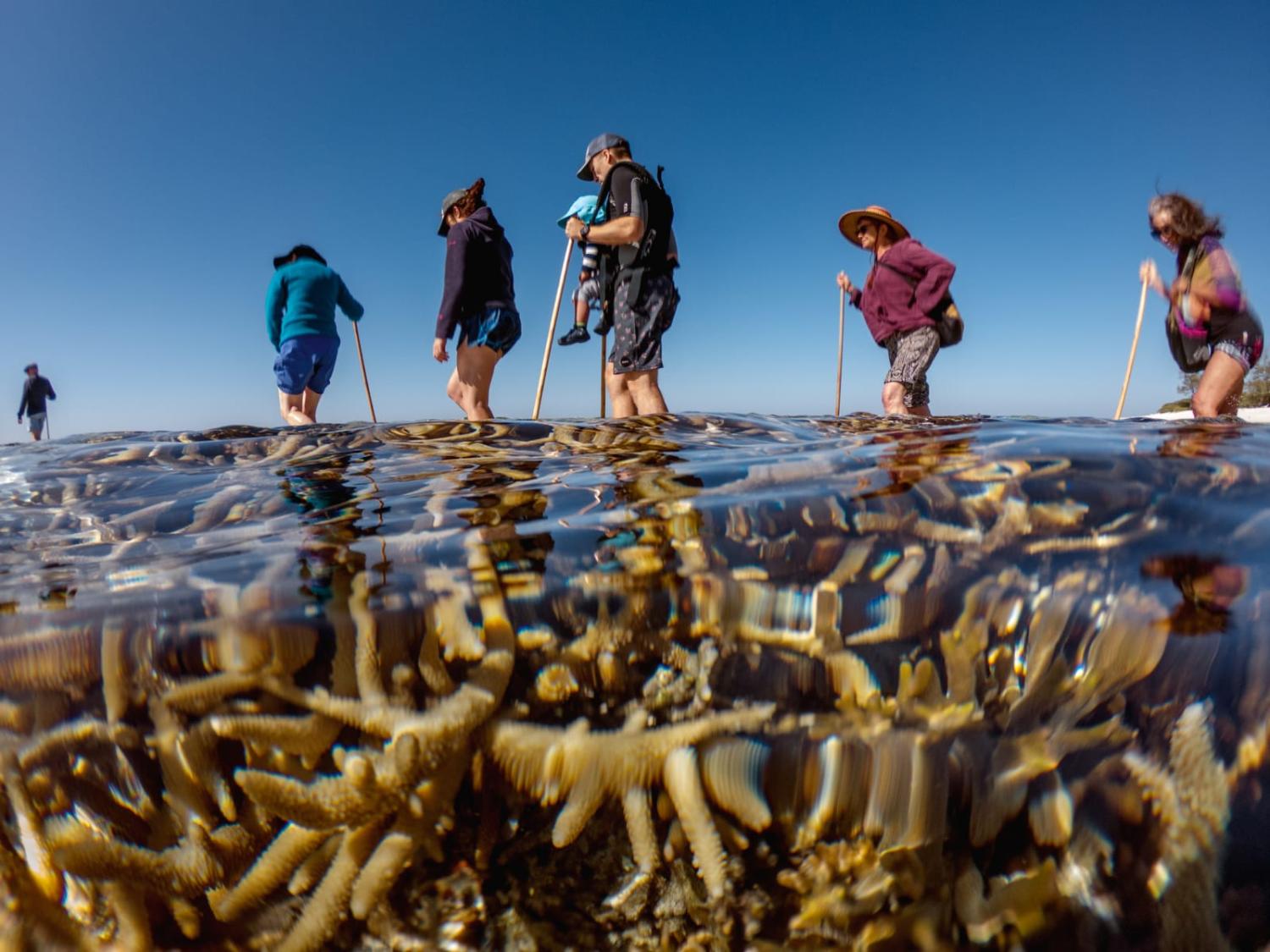 Should communities and nations suffer a drop in their tourism or marketing opportunities because of a failure of international cooperation to address global warming? (Jonas Gratzer via Getty Images)