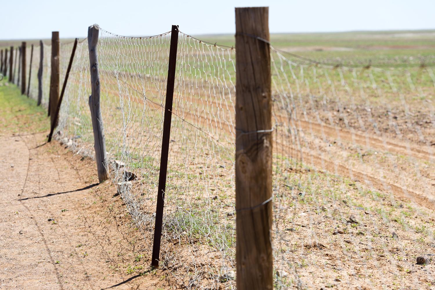 Way back when it was a big fence to yard off a furry threat (Steve Collis/Flickr)