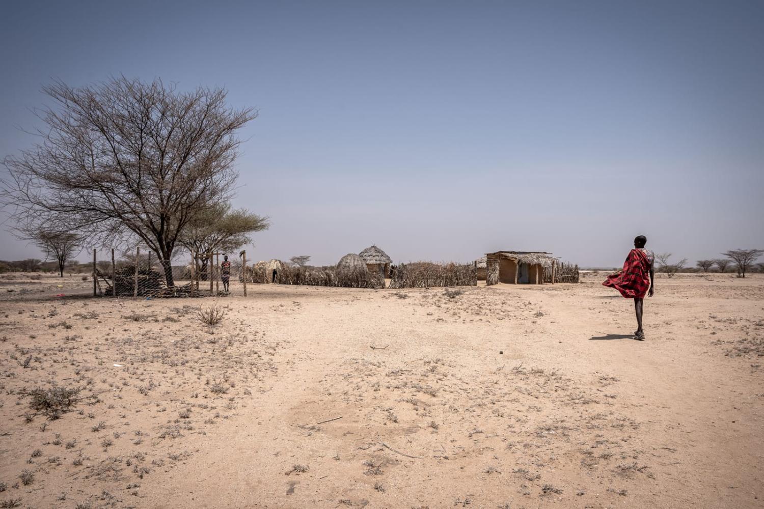The $23 million aid package contributed by Australia appears insufficient and out of touch with the realities on the ground (Simone Boccaccio via Getty Images)