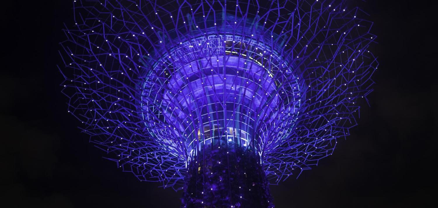 Singapore (Photo: bubusbubus/Flickr)