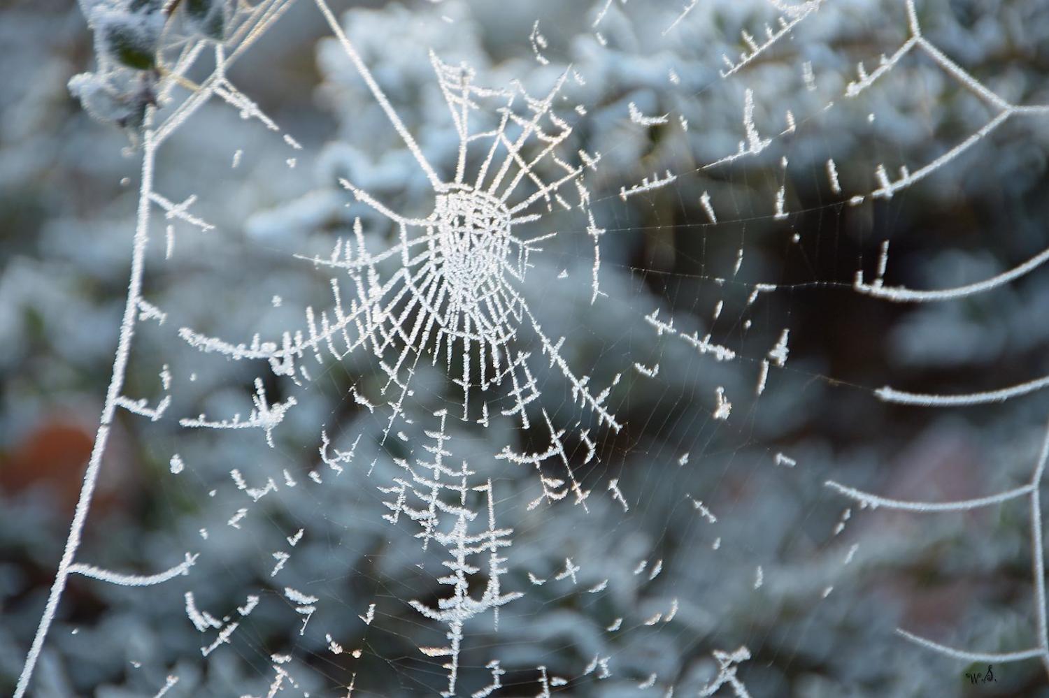 What was whole is being separated (Photo: willi_bremen/Flickr)