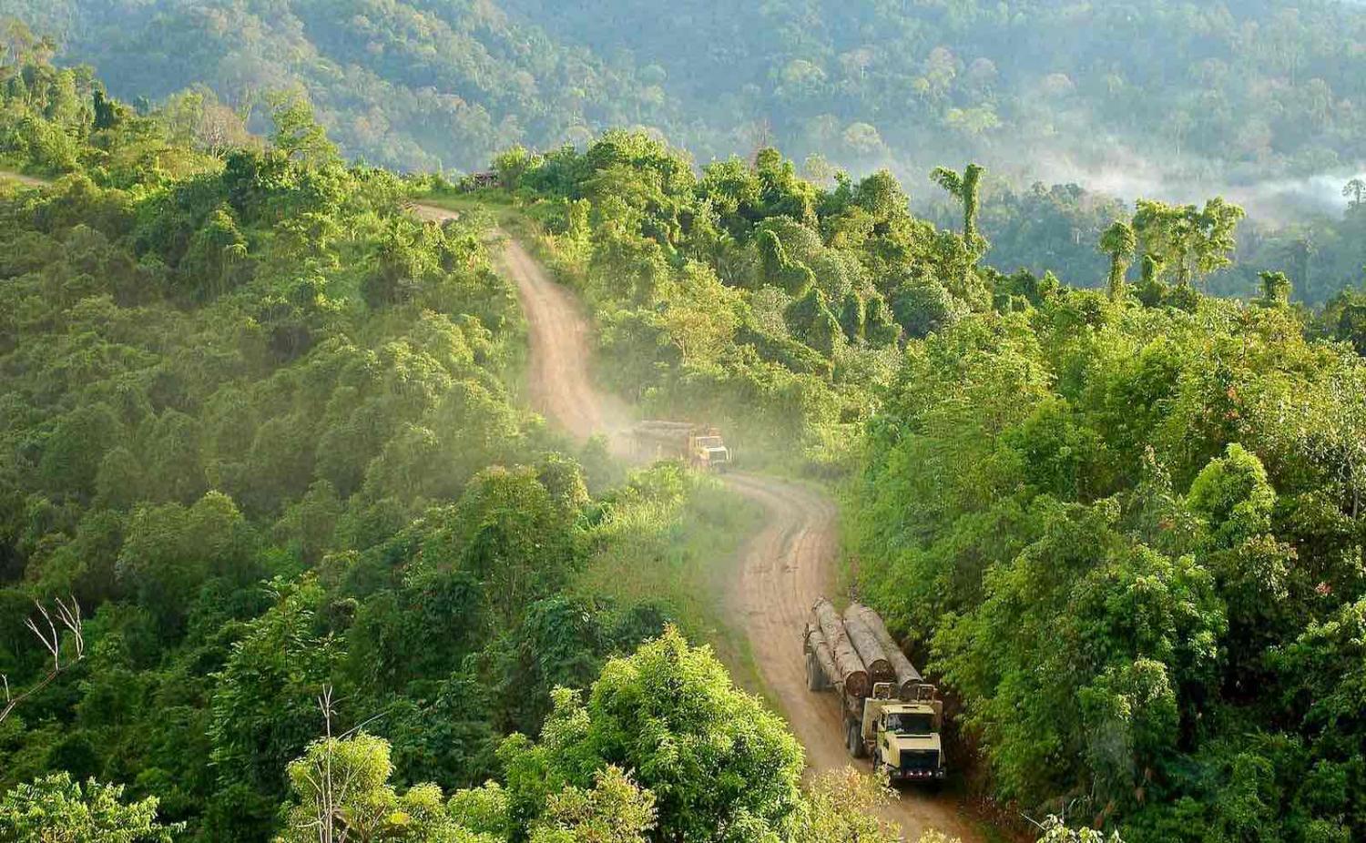 Logging trucks in East Kalimantan, Indonesia (Photo: CIFOR/Flickr)