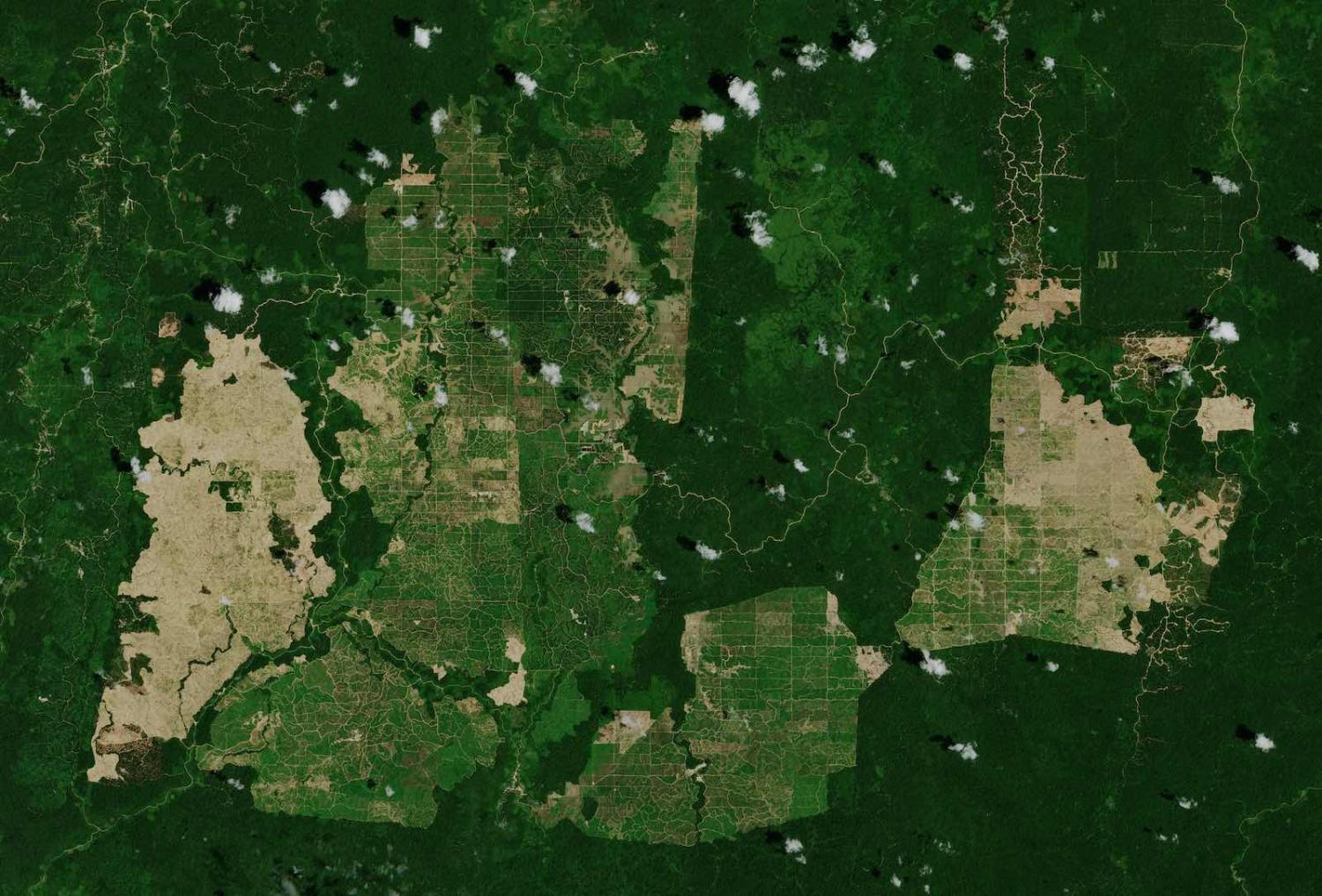 Palm oil plantations in East Kalimantan, Indonesia, seen from the Copernicus Sentinel-2 satellite (European Space Agency/Flickr)