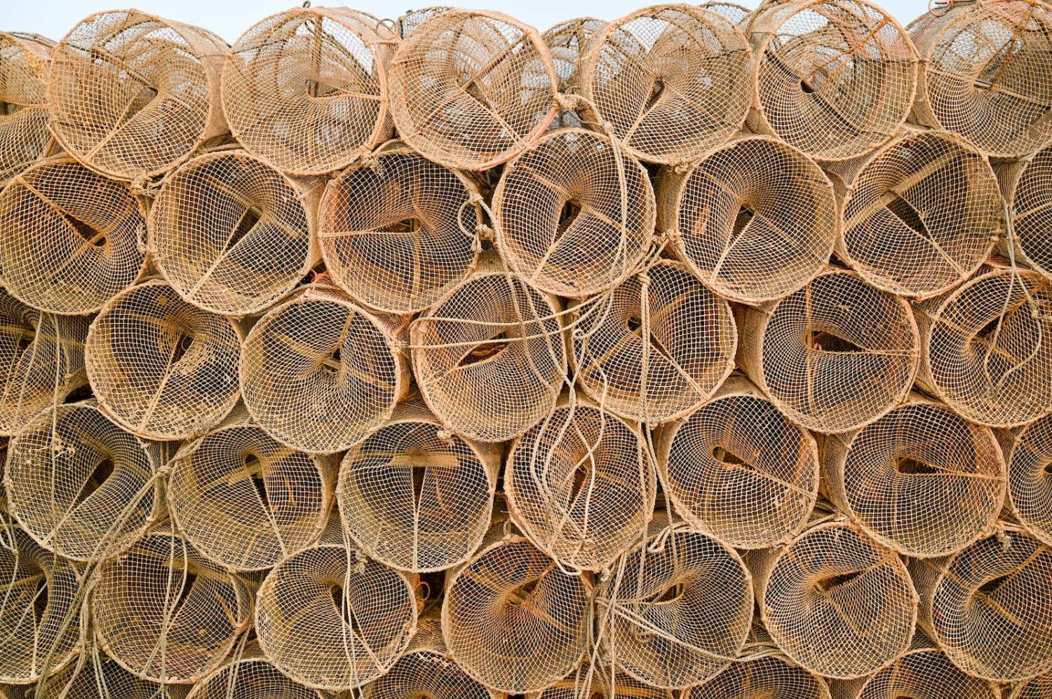 The reporting standards of the catch is a challenge (WorldFish/Flickr)
