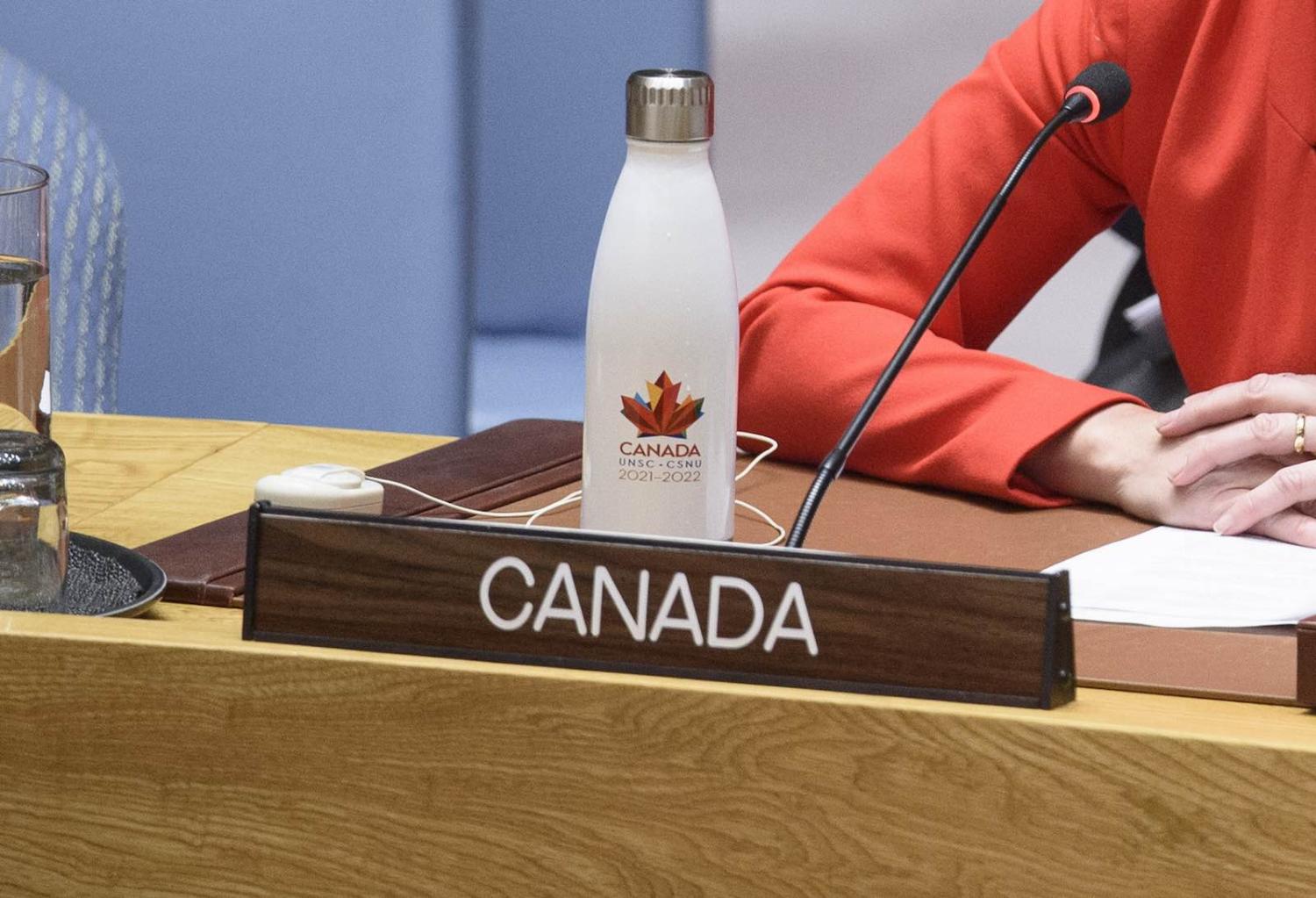 A Security Council meeting in 2019 on the impacts of climate-related disasters on international peace and security (Loey Felipe/UN Photo)
