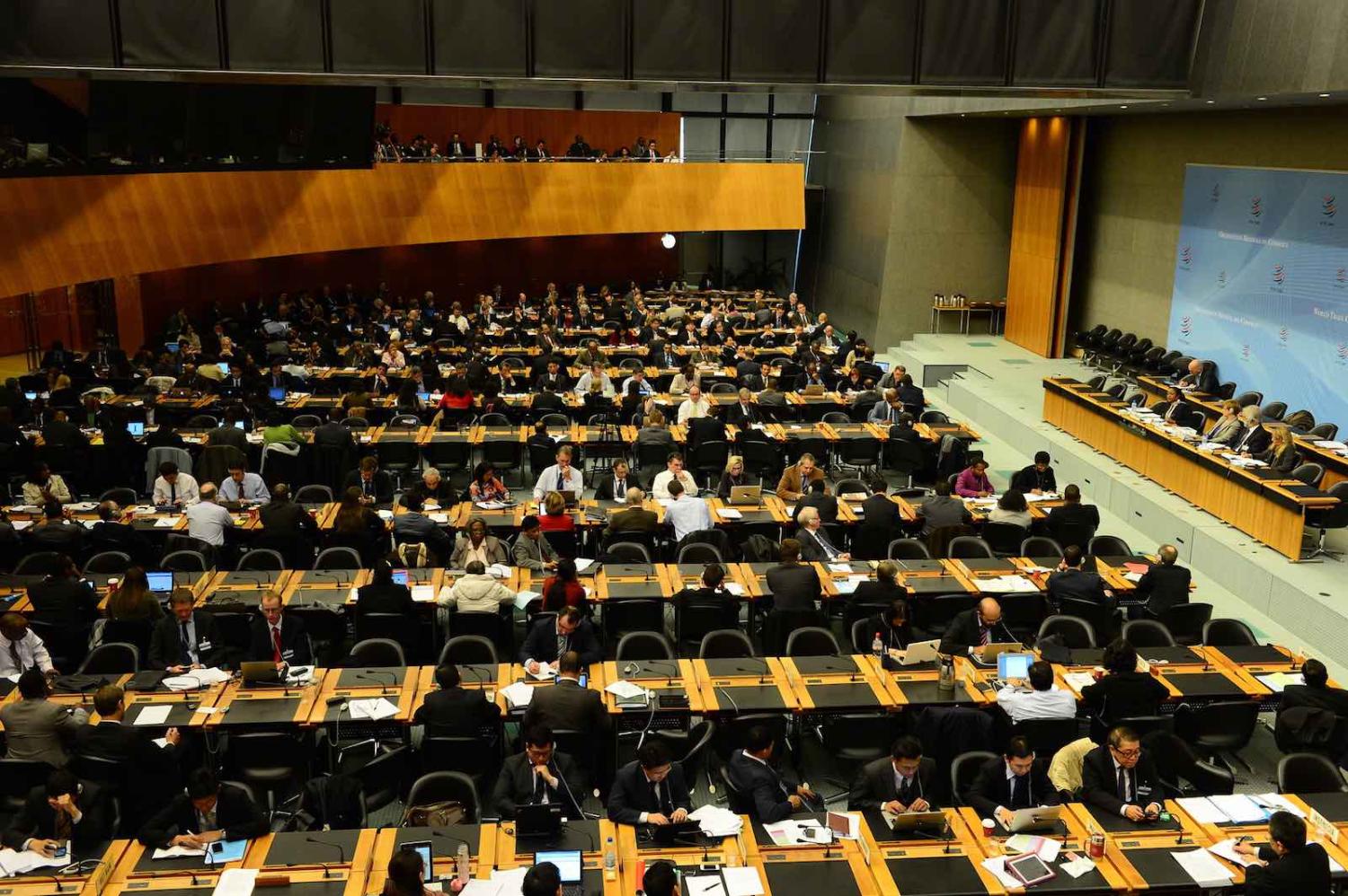Deliberation in the hall of the World Trade Organisation (Photo: WTO/Flickr)