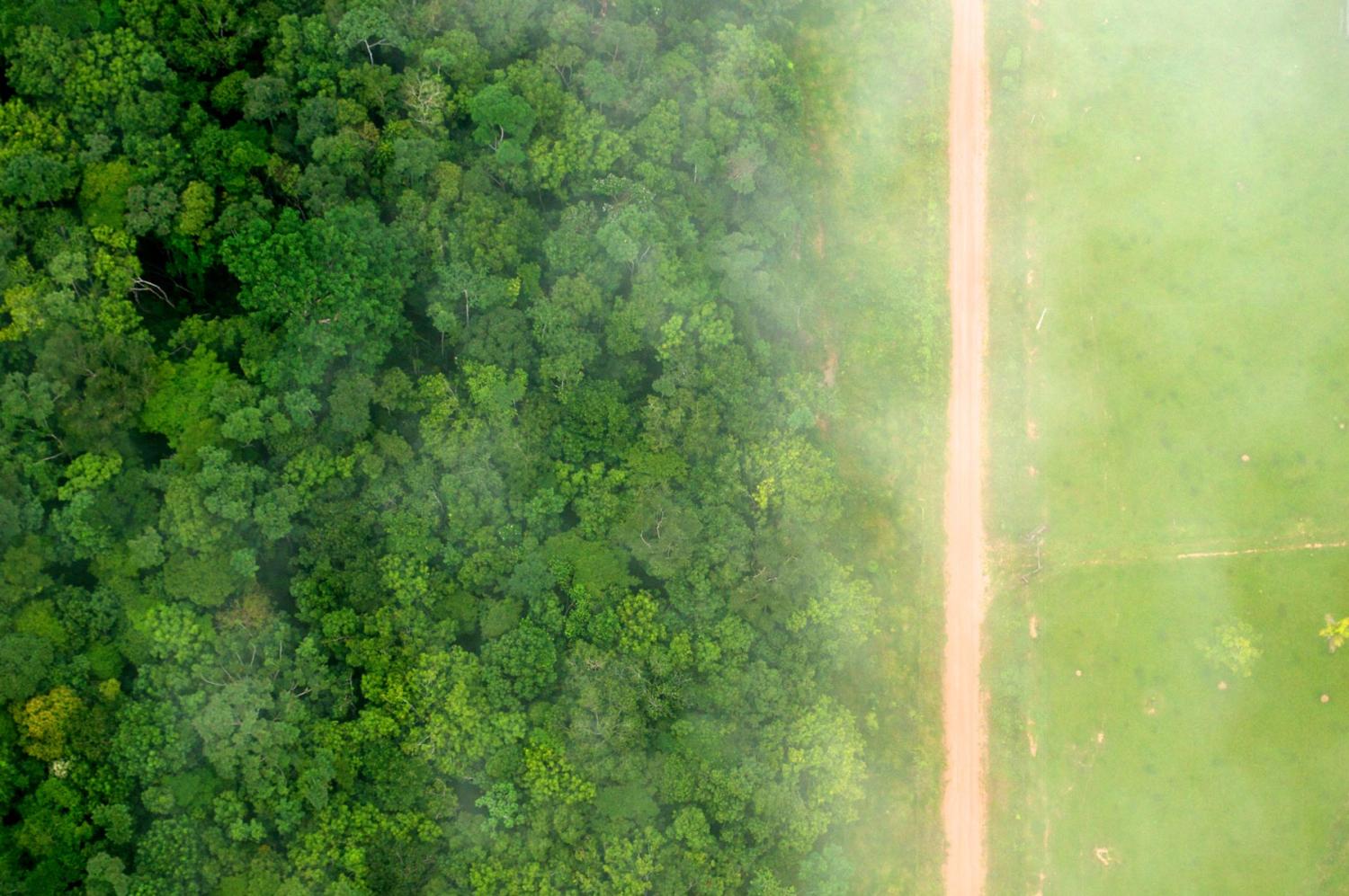 Photo by Kate Evans for Center for International Forestry Research (CIFOR)/Flickr