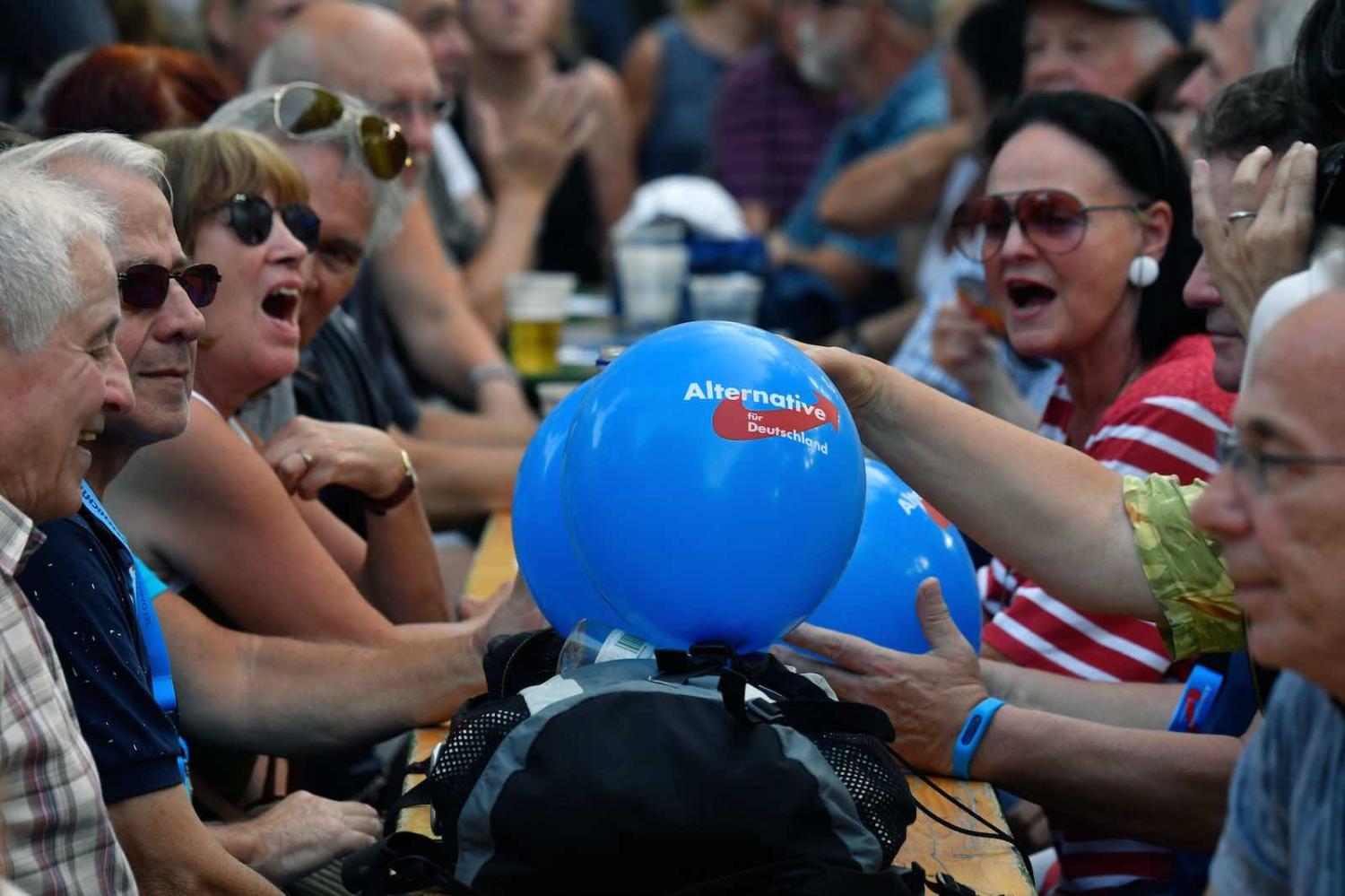 An election rally of the far-right party Alternative for Germany ahead of state elections in Brandenburg and Saxony (Photo: John MacDougall/AFP/Getty Images)