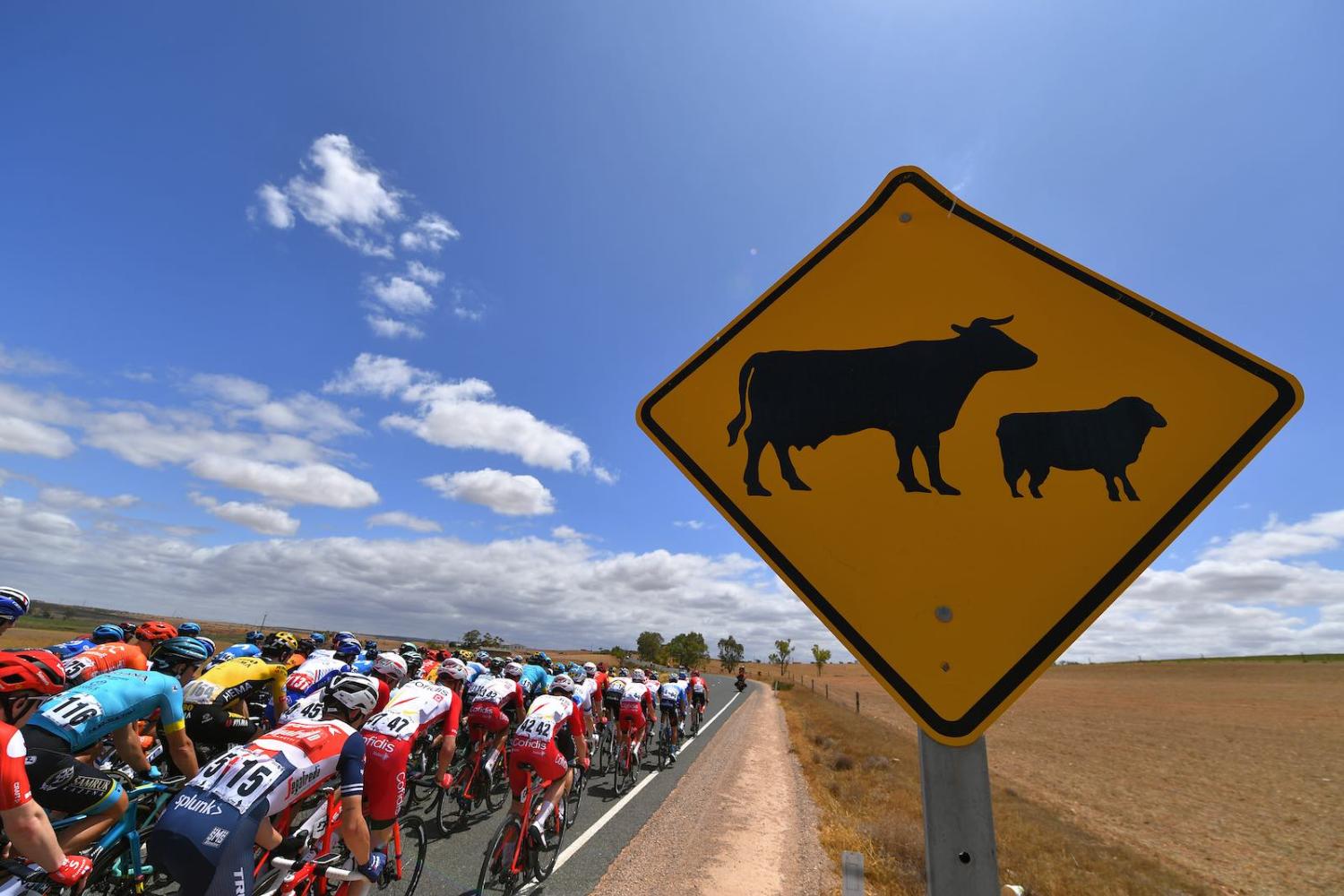 Not so fast (Tim de Waele/Getty Images)