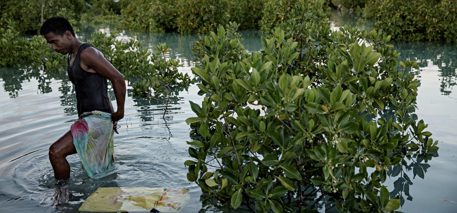 A flooded mangrove forest in Kiribati, September 2015 (Photo: Jonas Gratzer/Getty Images)