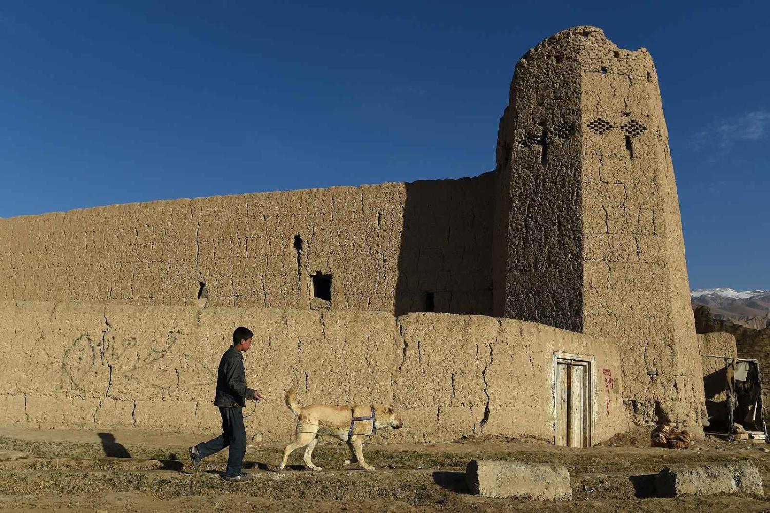 A Hazara boy walks his dog in Bamiyan province, Afghanistan, 5 March 2021 (Wakil Kohsar/AFP via Getty Images)