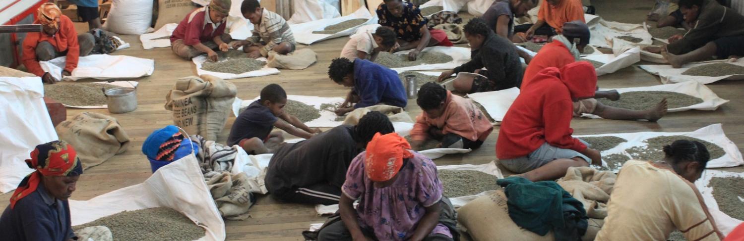 Hand-sorting coffee beans at the Baroida coffee plantation in PNG (Photo: Flickr/counterculturecoffee)