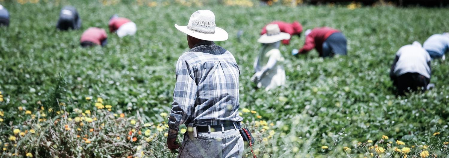 Photo: Flickr/Alex Proimos