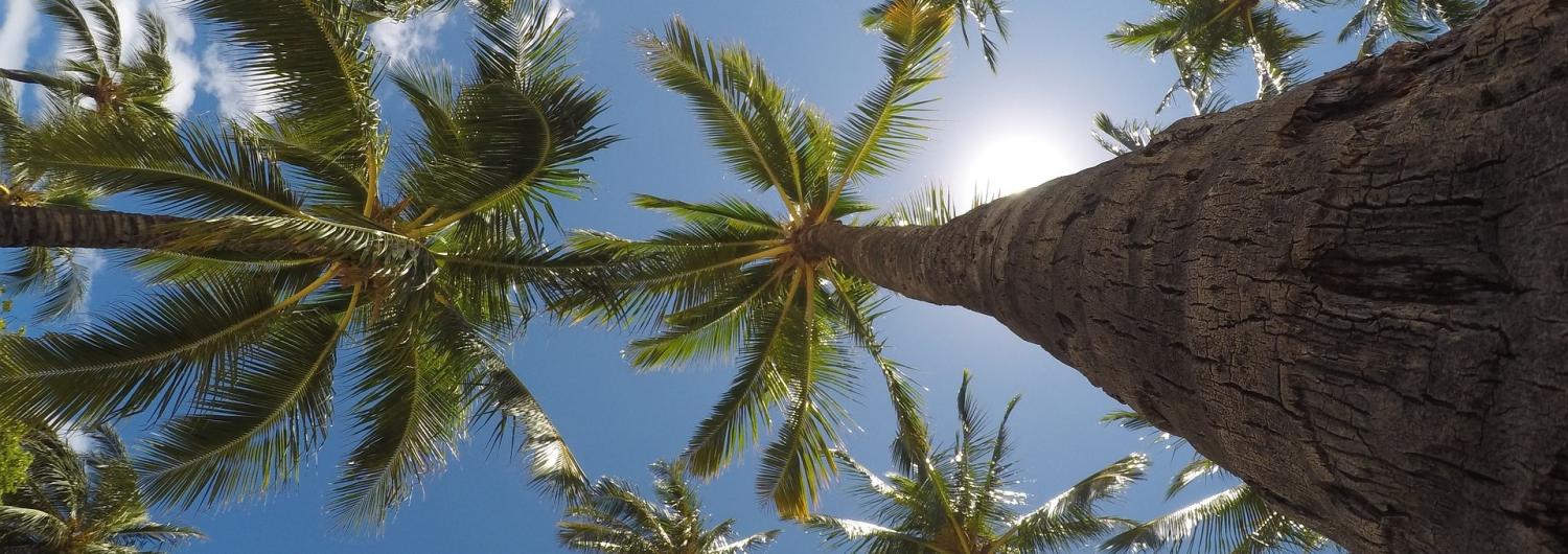 Pacific links: Climate change, China in PNG, Fiji self-censors and more