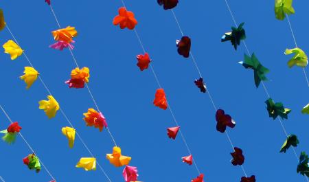 Multiculturalism, Identity and Influence Project 2020–2023 Summary